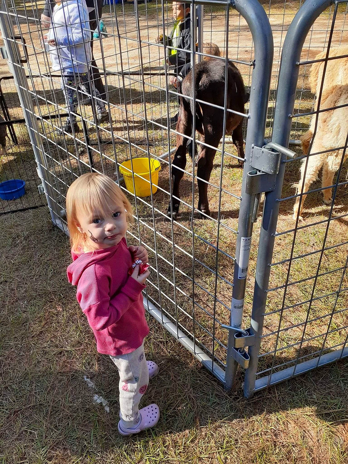 Brilynn is registered to the contest to win money with this photo: animal_shelter, cage, child, fence, fun, grass, human_settlement, leisure, mesh, metal, person, pet_supply, play, public_space, recreation, service, smile, soil, terrestrial_animal, toddler