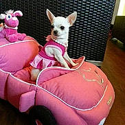 Gucci participe au concours pour gagner de l'argent avec cette photo :