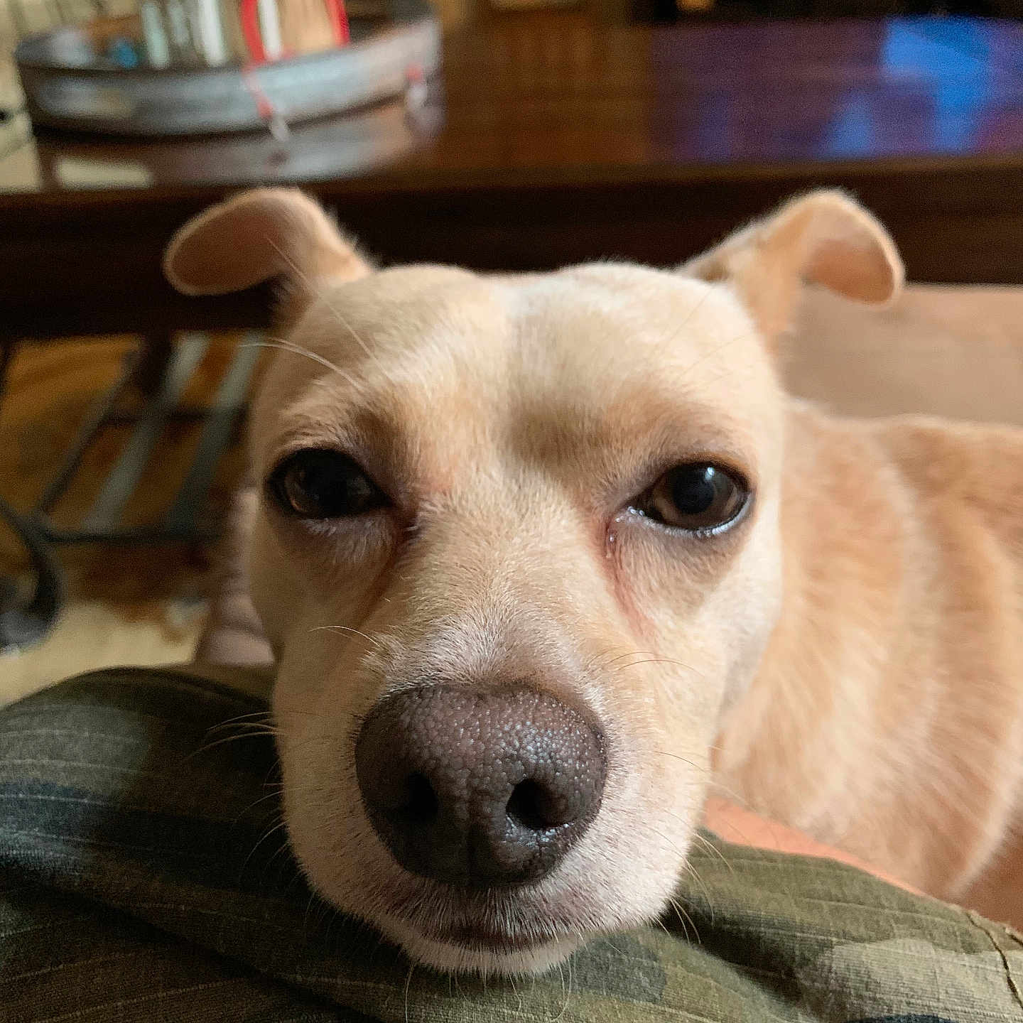 Rosco