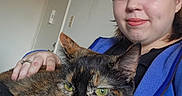 Lyra is registered to the contest to win money with this photo: animal, blue_jacket, casual, cat, clock, cozy, door, feline, green_eyes, hand, indoor, makeup, person, pet, portrait, relaxed, resting, selfie, tortoiseshell_cat, wall