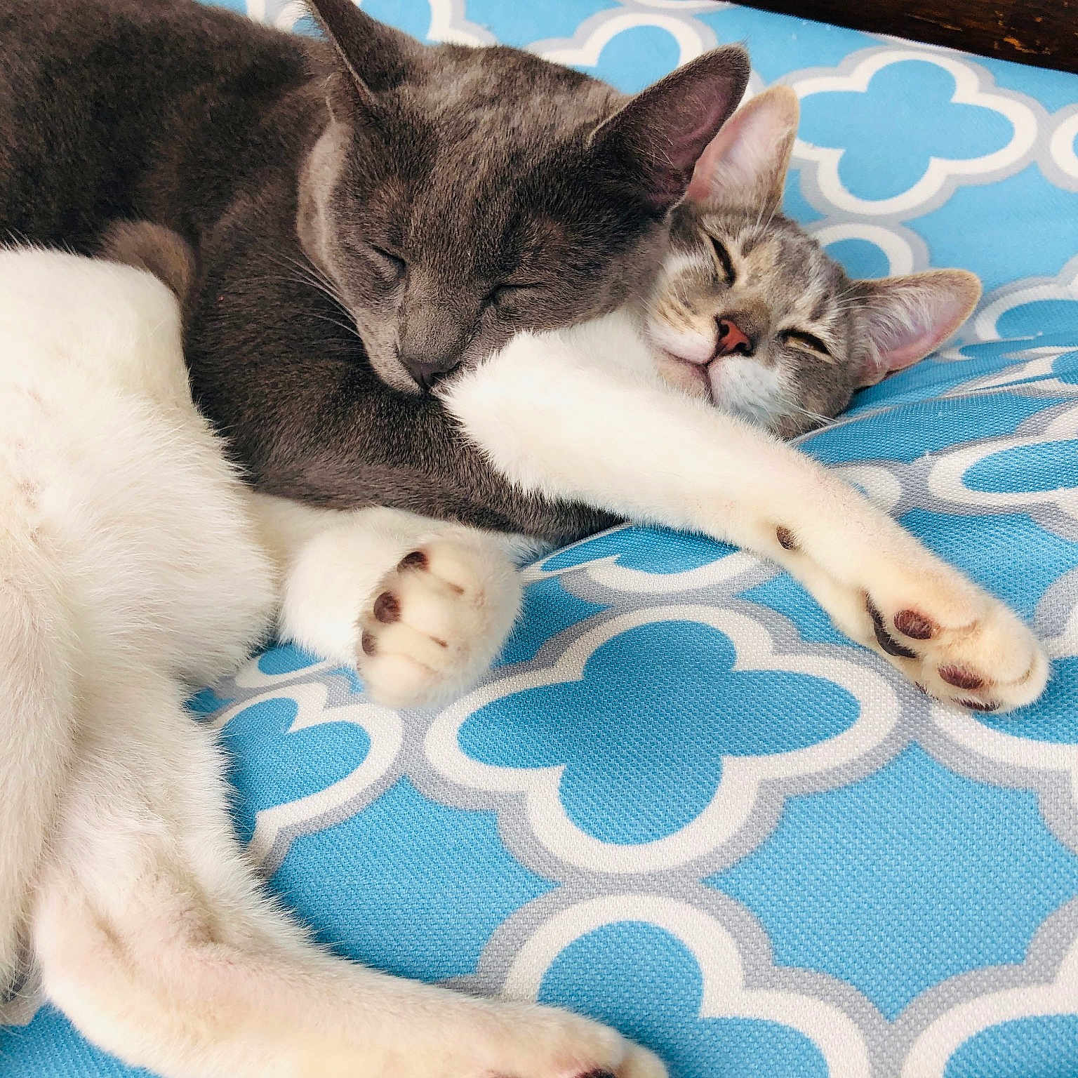 Benjamin And Tabitha