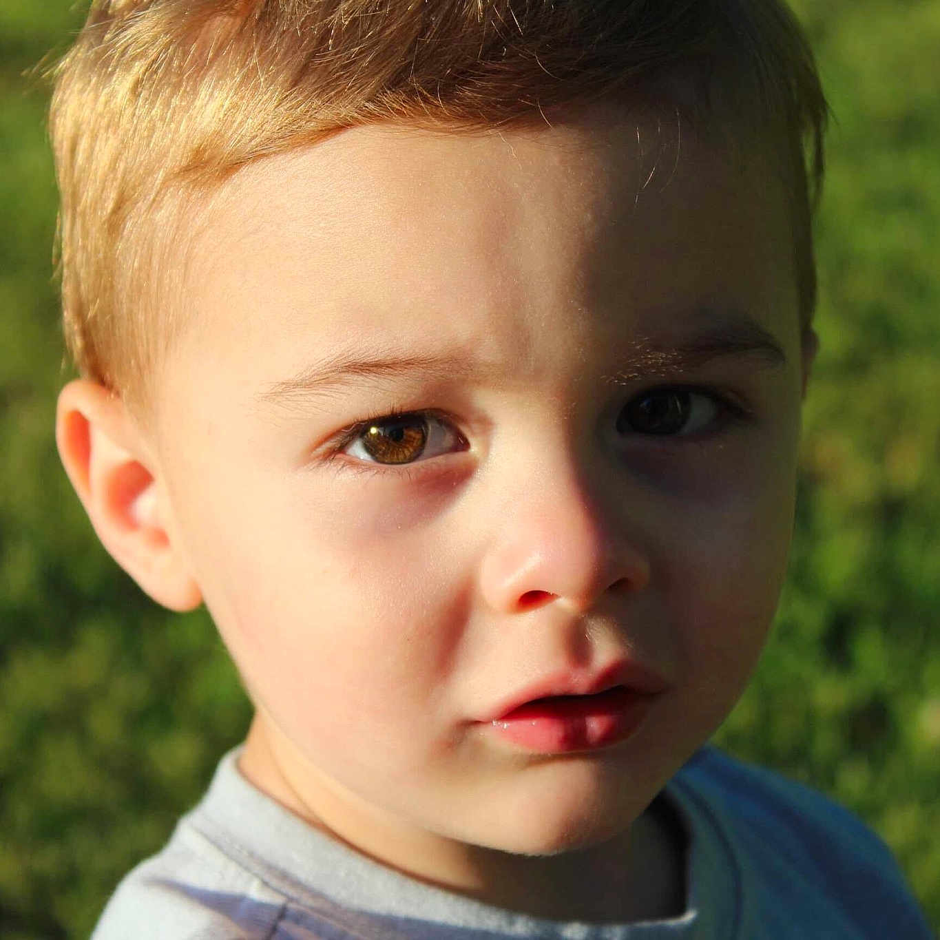 Greyson joined the competition — help win amazing prizes! cheek, child, chin, close_up, ear, eye, face, facial_expression, forehead, grass, hair, hairstyle, head, lip, male, nose, organ, person, skin, summer