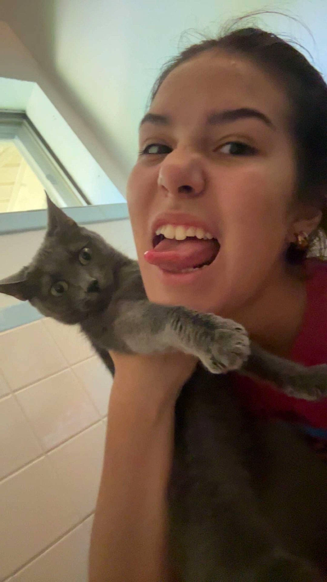 Grey Grey is registered to the contest to win money with this photo: casual, cat, curious, earrings, expression, face, funny, gray_cat, head, holding, indoor, person, pet, playful, portrait, shoulder, tile_wall, tongue_out, window, young_adult