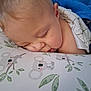 Theodore is registered to the contest to win money with this photo: baby, sleeping, face, pillow, blanket, koala, child, cute, resting, peaceful, soft, closeup, skin, infant, adorable, nap, indoors, young, head, comfort