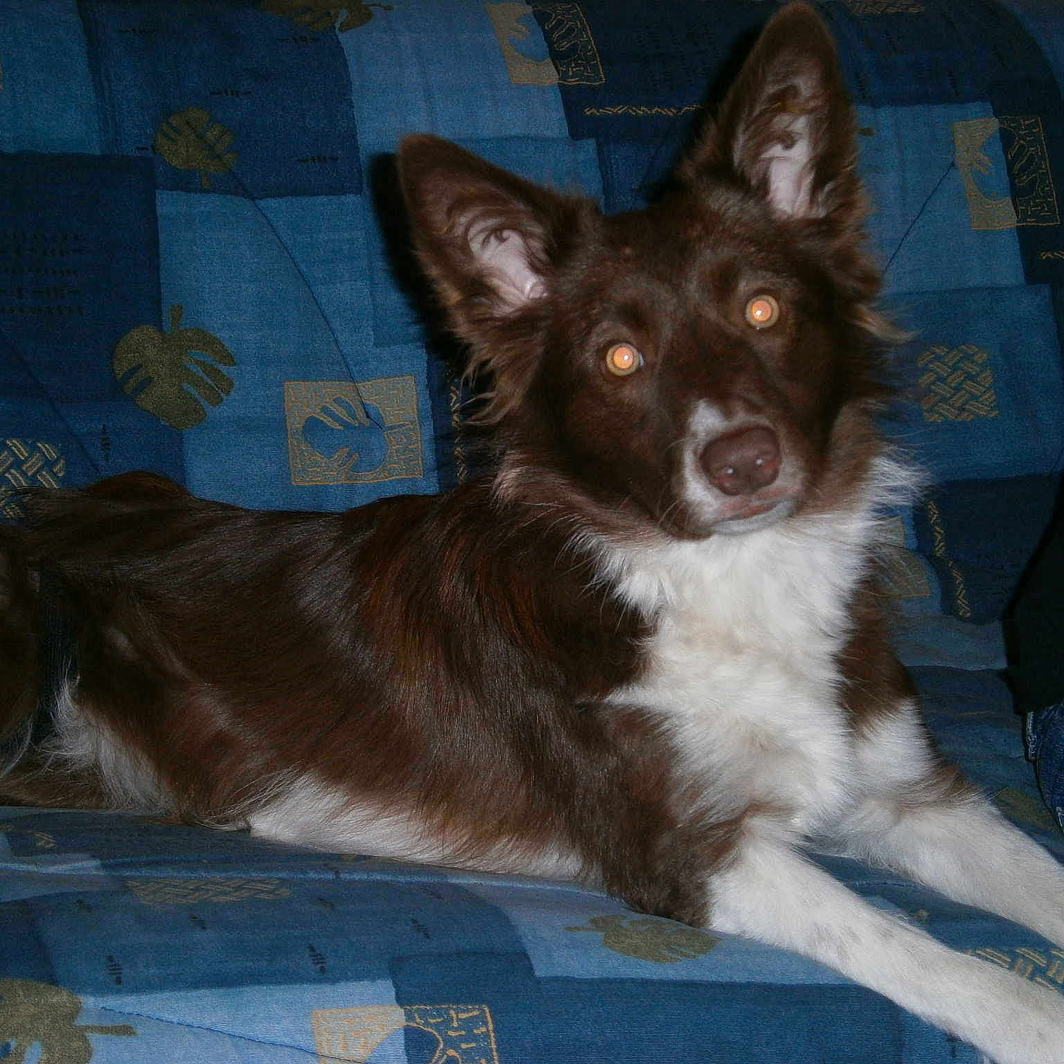 Misa participe au concours pour gagner de l'argent avec cette photo :