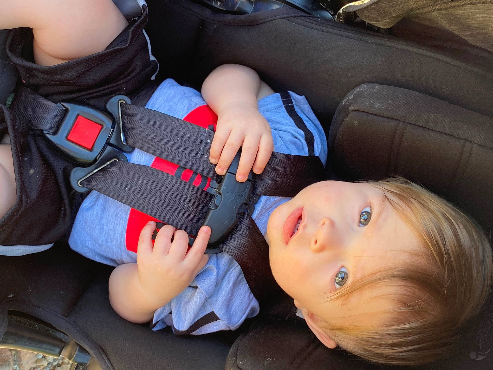 Waylon joined the competition — help win amazing prizes! auto_part, automotive_design, baby, baby_products, car_seat, car_seat_cover, carmine, child, comfort, electric_blue, family_car, gesture, head_restraint, nail, person, personal_luxury_car, seat_belt, sitting, thumb, toddler