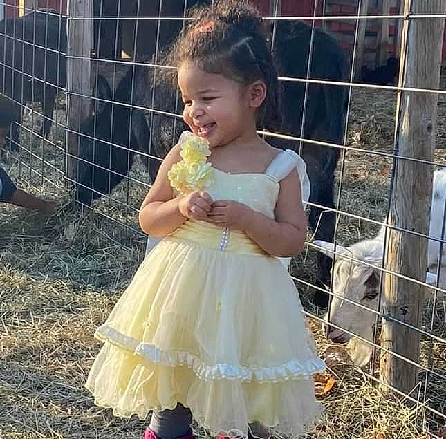 Olivia joined the competition — help win amazing prizes! baby_toddler_clothing, child, day_dress, dress, face, fence, formal_wear, fun, grass, hair, happy, joy, mesh, pattern, people_in_nature, person, plant, recreation, ruffle, smile