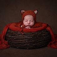 Eddie joined the competition — help win amazing prizes! newborn, baby, sleeping, fox_hat, knitwear, basket, twigs, orange_cloth, portrait, cozy, cute, infant, resting, studio, soft_lighting, props, child, headwear, peaceful, wrapped
