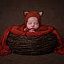 newborn, baby, sleeping, fox_hat, knitwear, basket, twigs, orange_cloth, portrait, cozy, cute, infant, resting, studio, soft_lighting, props, child, headwear, peaceful, wrapped