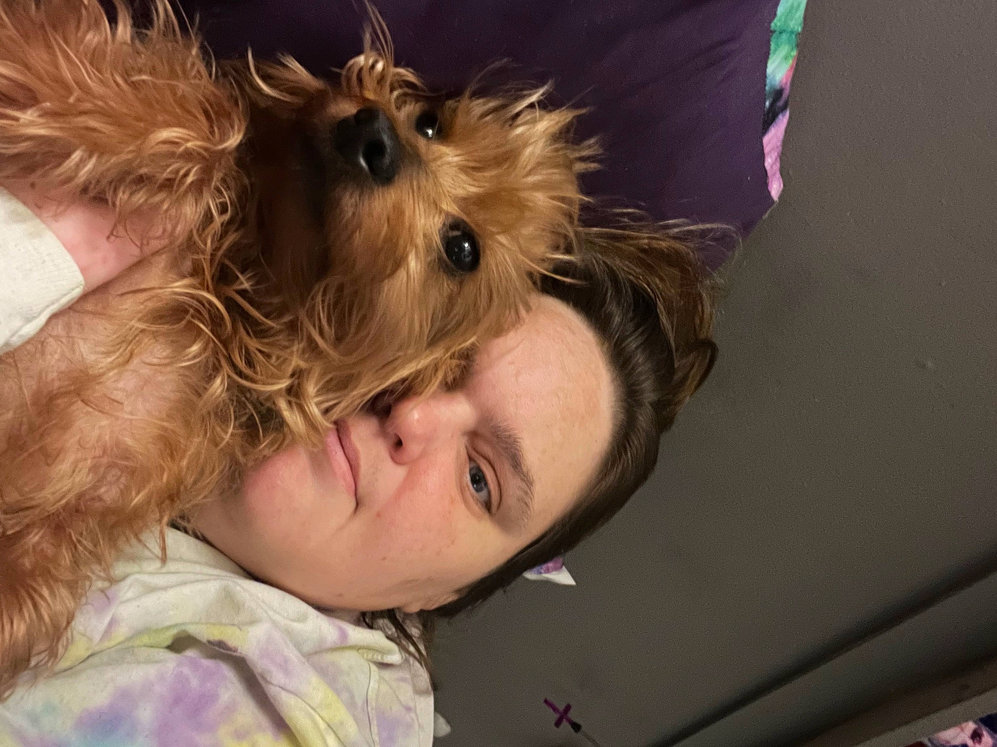 Princess is registered to the contest to win money with this photo: blond, brown_hair, canidae, carnivore, companion_dog, dog, dog_breed, dog_supply, ear, eyelash, fashion_accessory, fawn, fun, fur, happy, liver, snout, surfer_hair, toy_dog, working_animal