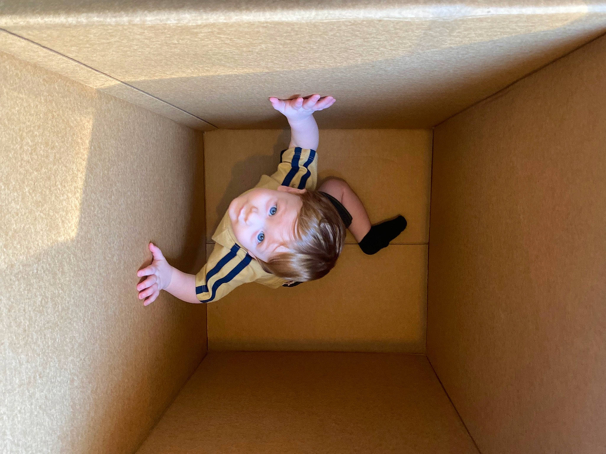 Corbett is registered to the contest to win money with this photo: arm, ceiling, doll, elbow, fawn, hand, hardwood, human_leg, knee, person, pink, room, sock, thigh, toy, wall, window, wood, wrist