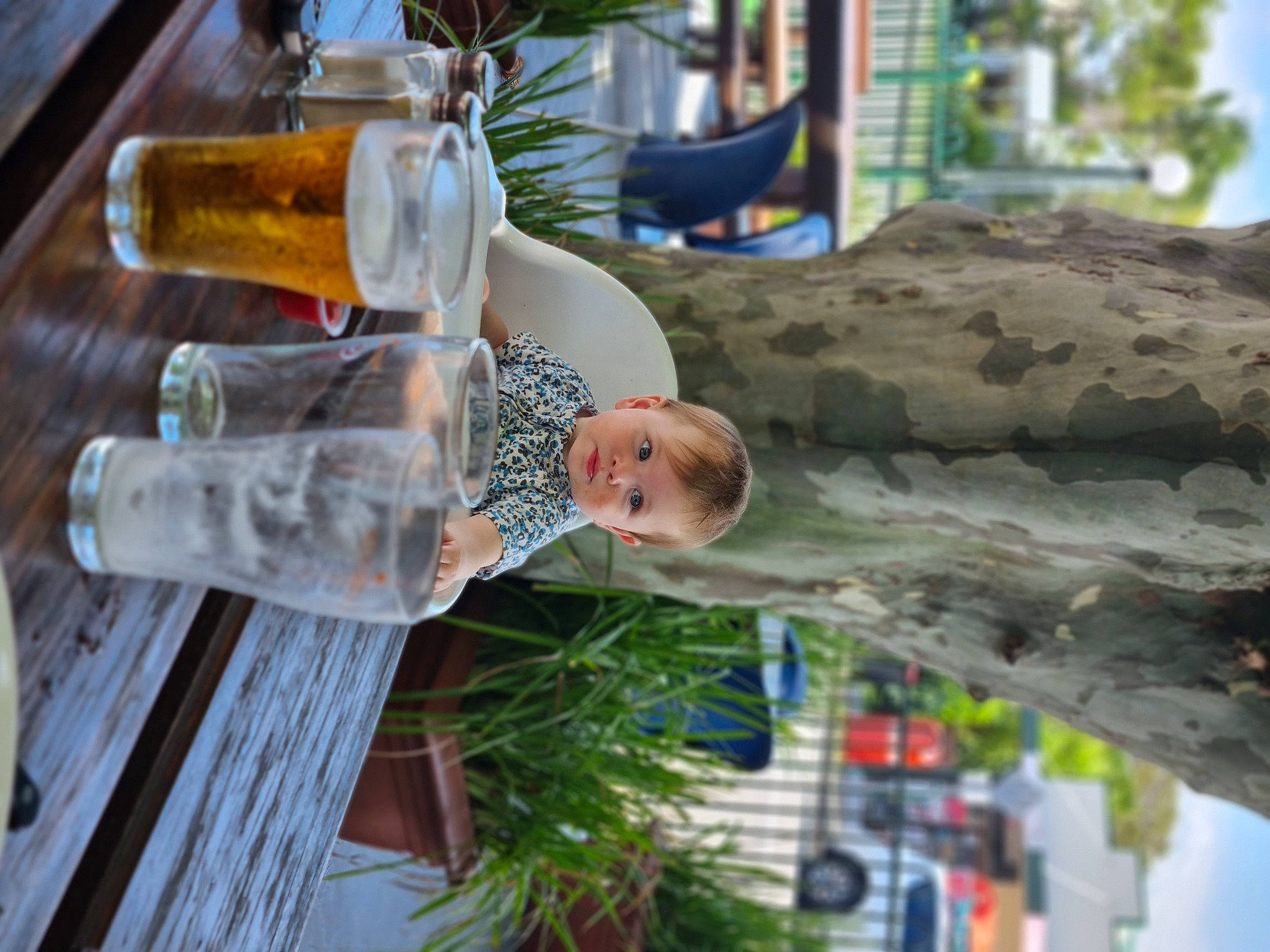 Cleo joined the competition — help win amazing prizes! automotive_tire, bottle, drink, drinking_water, drinkware, fluid, fun, glass, glass_bottle, grass, leisure, military_camouflage, person, plant, plastic_bottle, table, tableware, tire, tree, water