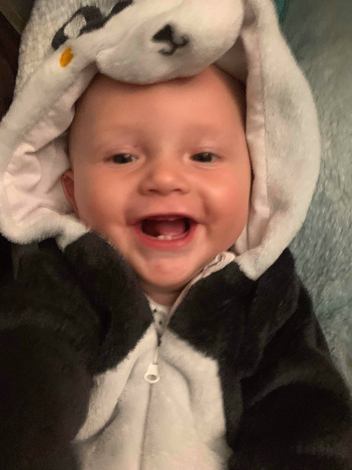 Jassim participe au concours pour gagner de l'argent avec cette photo : baby_toddler_clothing, cheek, chin, collar, eye, eyebrow, face, gesture, happy, head, headgear, headwear, iris, jacket, jaw, lip, nose, outerwear, person, skin