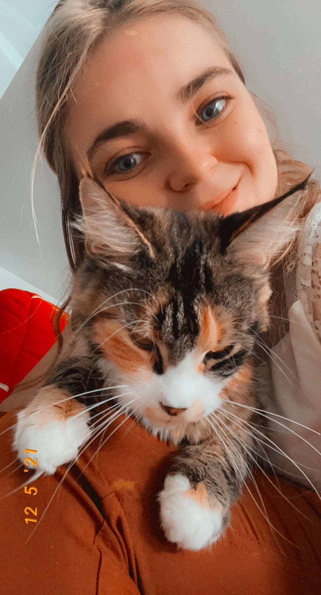 Ruby a rejoint le concours — aidez-le/la à gagner de superbes lots ! beauty, carnivore, cat, ear, eye, felidae, fur, gesture, hair, hand, happy, head, iris, leg, nose, organ, small_to_medium_sized_cats, smile, snout, whiskers