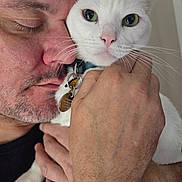 Dani is registered to the contest to win money with this photo: affection, animal, bond, close_up, collar, face, gentle, green_eyes, hand, holding, human, indoor, love, man, pet, portrait, skin, tag, whiskers, white_cat