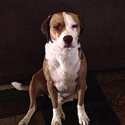Thad is registered to the contest to win money with this photo: