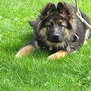 Kalypso participe au concours pour gagner de l'argent avec cette photo :
