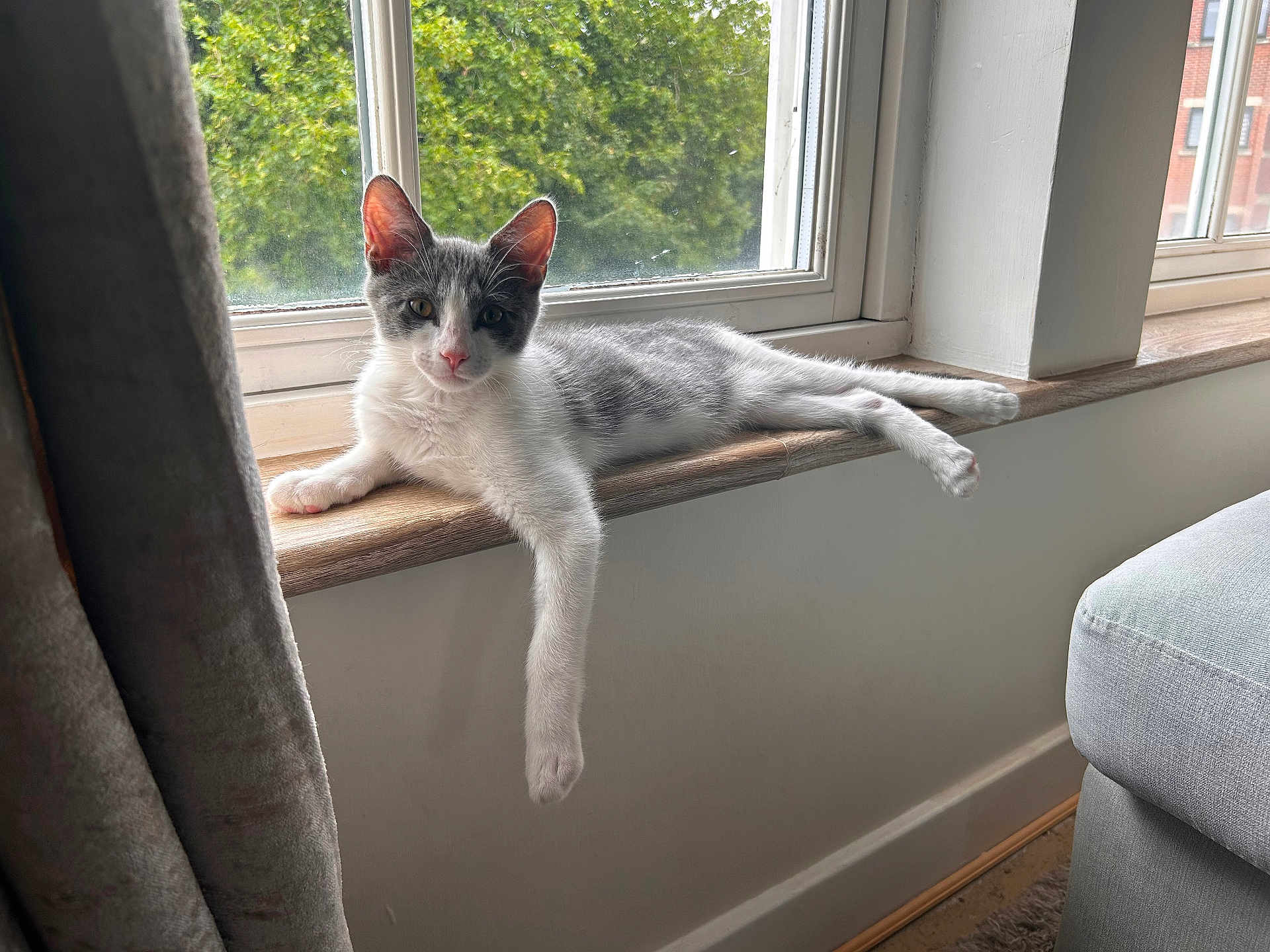 Huxley