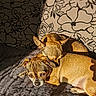 animal, brown_fur, companion, couch, cozy, cuddle, cute, dog, dogs, floral_pillow, friendship, indoor, pet, portrait, relaxing, resting, sleepy, snuggle, sunlight, warm_light