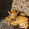 animal, blanket, brown_fur, companion, couch, cozy, cute, dog, ears, floral_pattern, indoor, peaceful, pet, resting, shadow, sleeping, small_dog, snuggling, sunlight, two_dogs