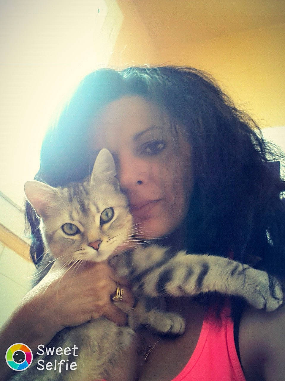 Calinou participe au concours pour gagner de l'argent avec cette photo : beauty, black_hair, cat, cheek, eye, eyebrow, face, forehead, girl, hair, hairstyle, head, human_hair_color, kitten, mammal, nose, person, skin, small_to_medium_sized_cats, snapshot