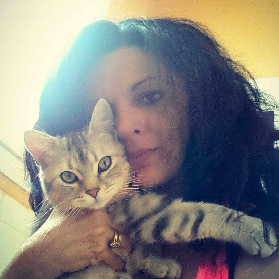 Calinou participe au concours pour gagner de l'argent avec cette photo : beauty, black_hair, cat, cheek, eye, eyebrow, face, forehead, girl, hair, hairstyle, head, human_hair_color, kitten, mammal, nose, person, skin, small_to_medium_sized_cats, snapshot
