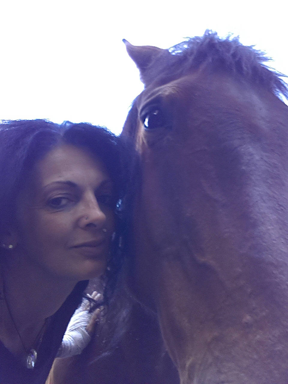 Lulu participe au concours pour gagner de l'argent avec cette photo : eye, hair, horse, liver, livestock, love, mane, mare, mustang_horse, nose, person, photography, sky, smile, snout, stallion