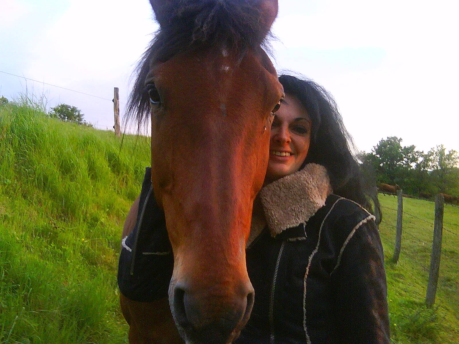 Lulu participe au concours pour gagner de l'argent avec cette photo : bridle, grass, halter, horse, horse_harness, horse_like_mammal, horse_supplies, horse_tack, joy, livestock, mane, mare, mustang_horse, pack_animal, pasture, person, pony, rein, saddle, snout