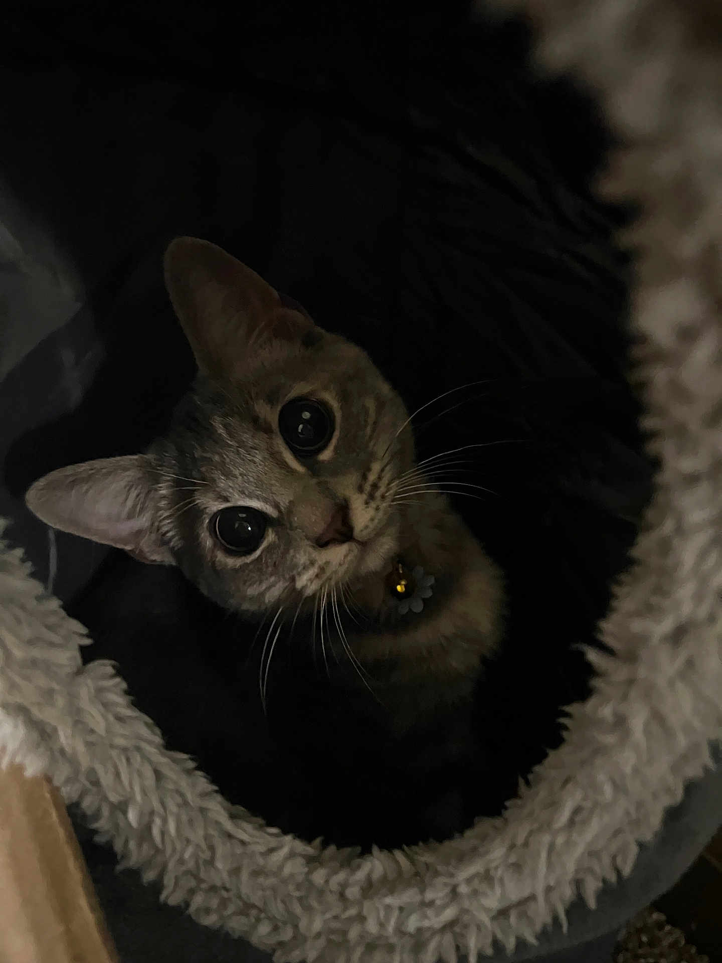 Katsumi