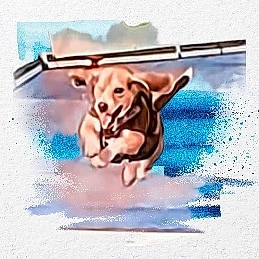 Simba joined the competition — help win amazing prizes! art, carnivore, companion_dog, dog, dog_breed, dog_supply, drawing, flooring, font, illustration, paint, painting, pet_supply, photo_caption, rectangle, sporting_group, toy_dog, water, wood, working_animal