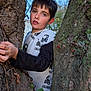 child, boy, tree, nature, outdoor, sky, leaves, trunk, greenery, curious, adventure, clothing, person, young, daylight, casual, portrait, holding, exploration, forest