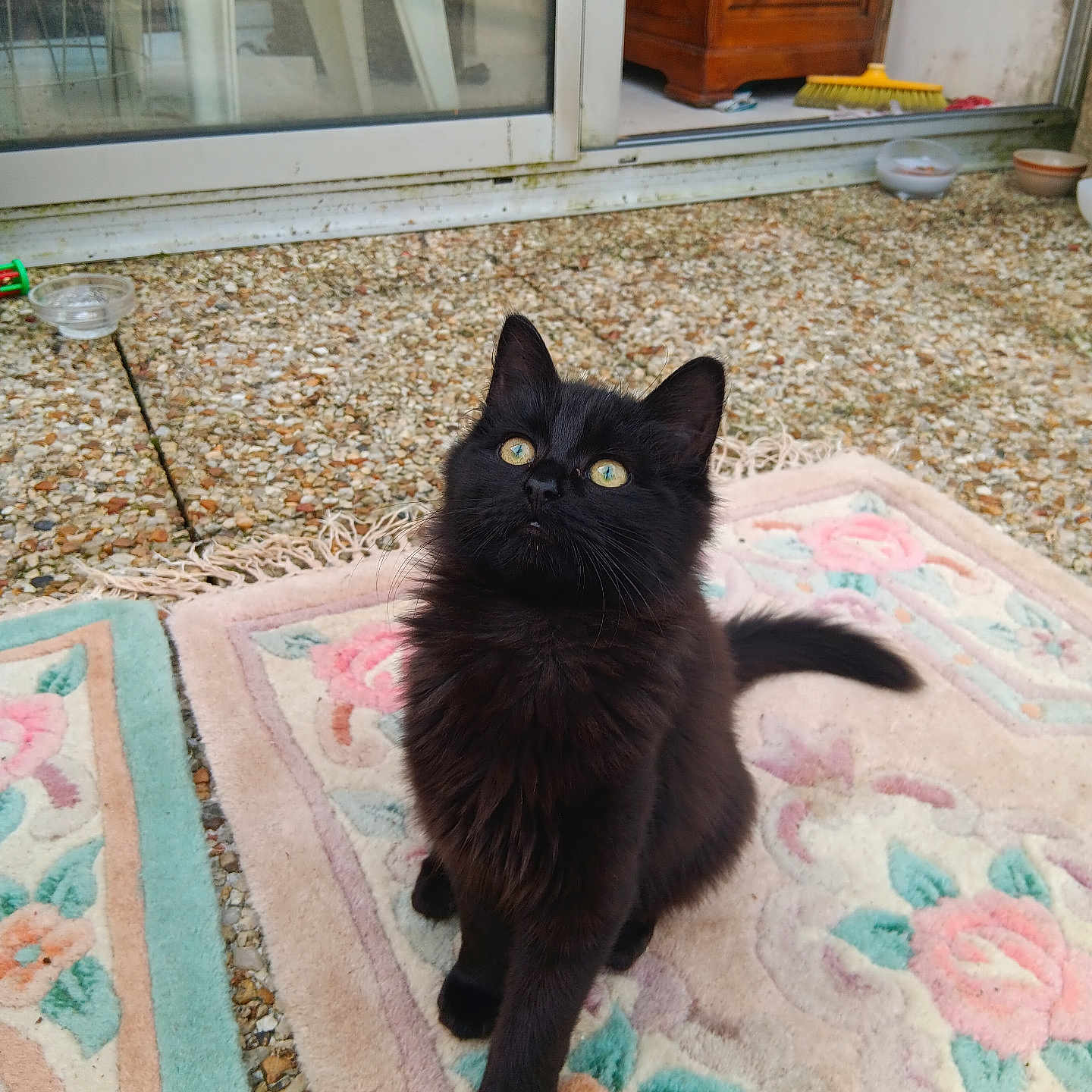 Mia