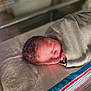 newborn, baby, sleeping, blanket, hospital, bassinet, curly_hair, infant, resting, soft_light, bed, wrapped, portrait, child, cute, peaceful, toddler, indoors, person, healthcare