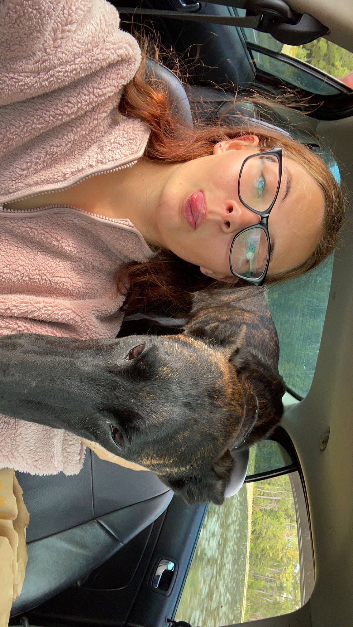 Ivy joined the competition — help win amazing prizes! car, carnivore, collar, dog, dog_breed, dress, eyelash, eyewear, fawn, fur, glasses, hat, jaw, snout, sporting_group, sunglasses, vehicle, vehicle_door, vision_care, working_animal