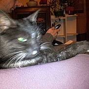 Décibelle a rejoint le concours — aidez-le/la à gagner de superbes lots !