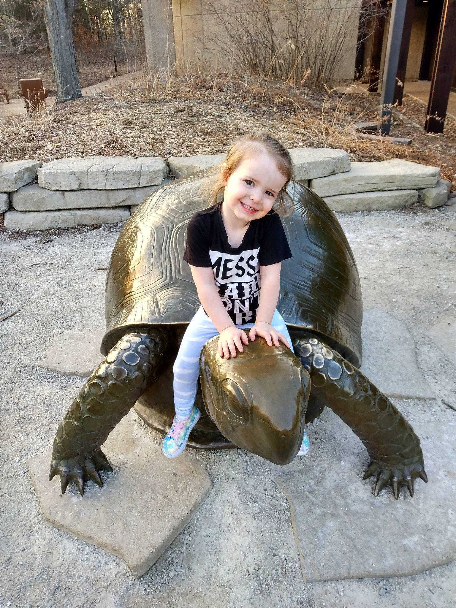 Skyleigh joined the competition — help win amazing prizes! foot, fur, galapagos_tortoise, grass, joy, leisure, mammal, person, recreation, reptile, rock, sea_turtle, sitting, smile, t_shirt, terrestrial_animal, tortoise, tree, turtle, vertebrate