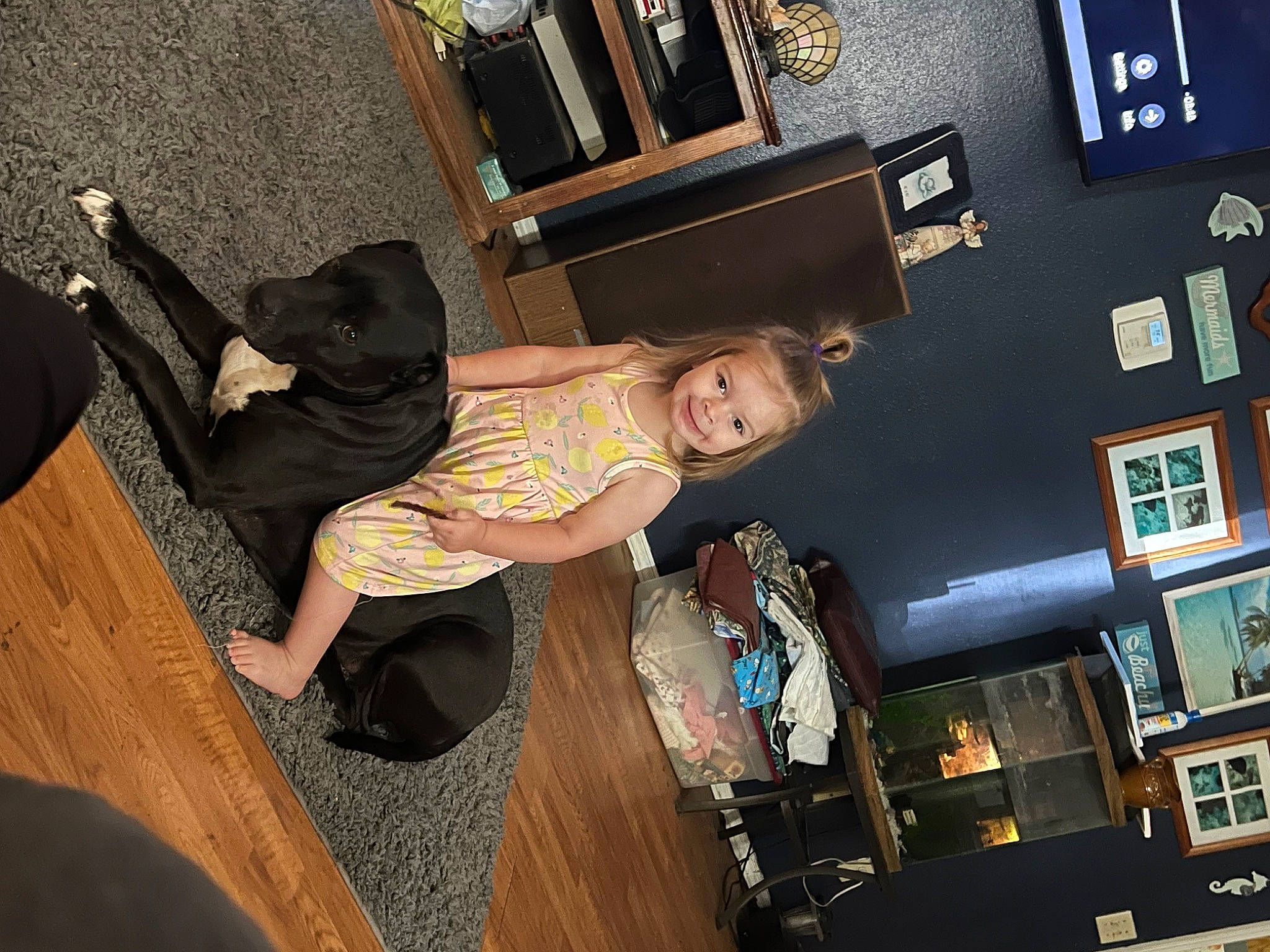 Makenna is registered to the contest to win money with this photo: display_device, flash_photography, flooring, fun, hardwood, human_leg, joy, machine, person, picture_frame, room, smile, television, thigh, wood