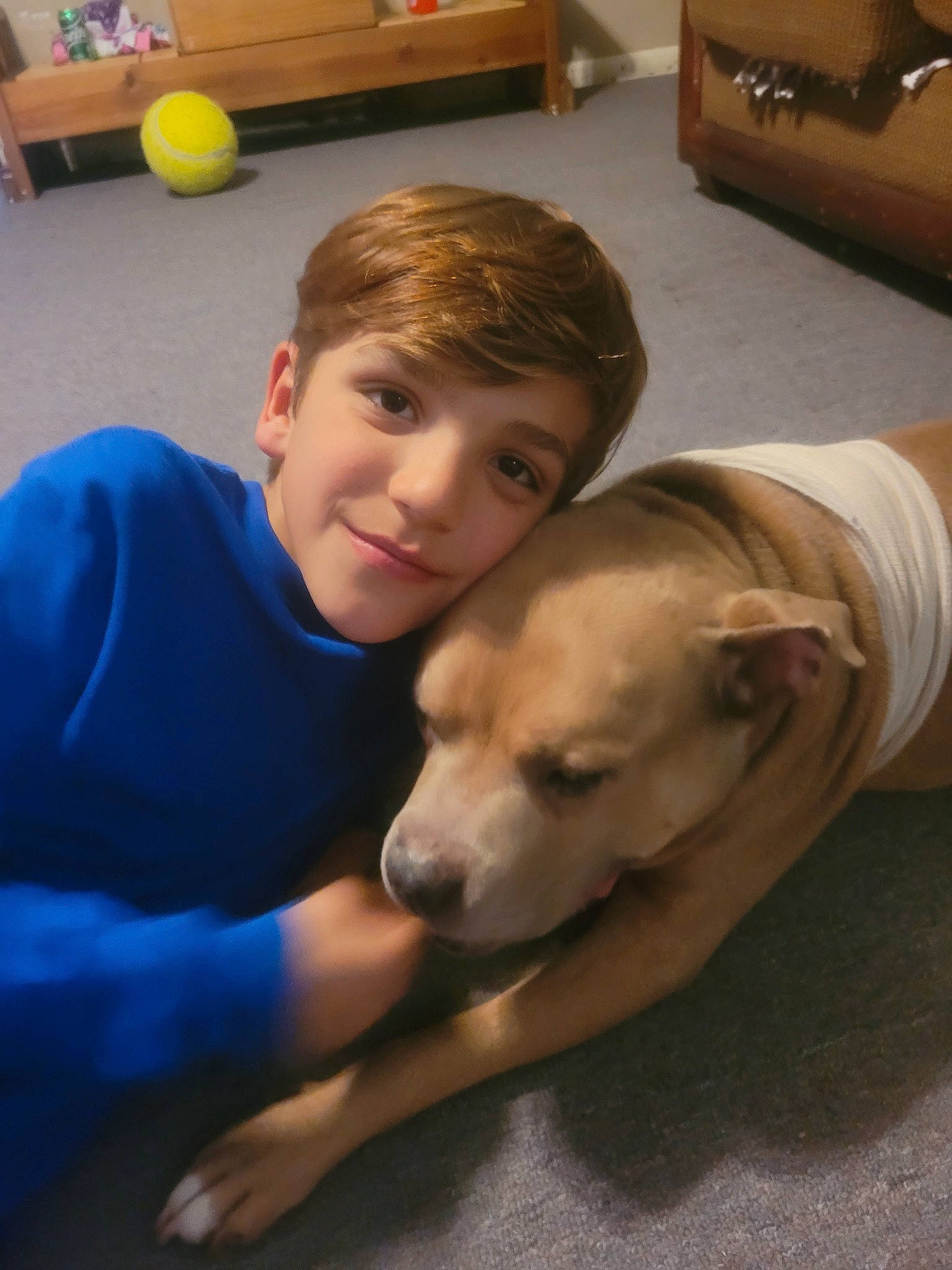 Bently is registered to the contest to win money with this photo: balloon, canidae, carnivore, child, comfort, companion_dog, dog, dog_breed, fawn, flooring, fun, fur, happy, joy, leisure, person, room, sitting, smile, sporting_group