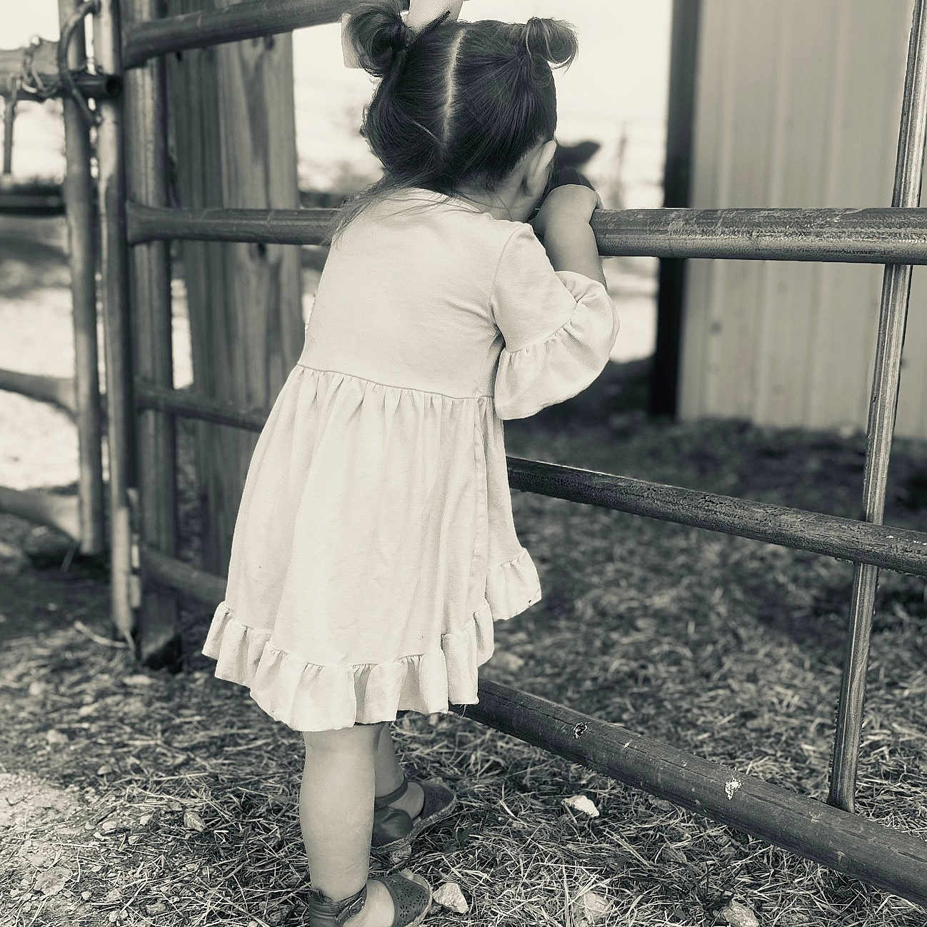 Everly-Rose is registered to the contest to win money with this photo: back, bodypart, child, clothing, dress, face, female, footwear, girl, grass, head, nature, outdoors, person, photography, plant, playarea, portrait, shoe, skirt