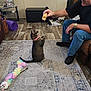 Moana is registered to the contest to win money with this photo: accessories, architecture, building, clothing, couch, face, footwear, furniture, glasses, head, indoors, livingroom, pants, person, photography, portrait, room, shoe, wood, wristwatch