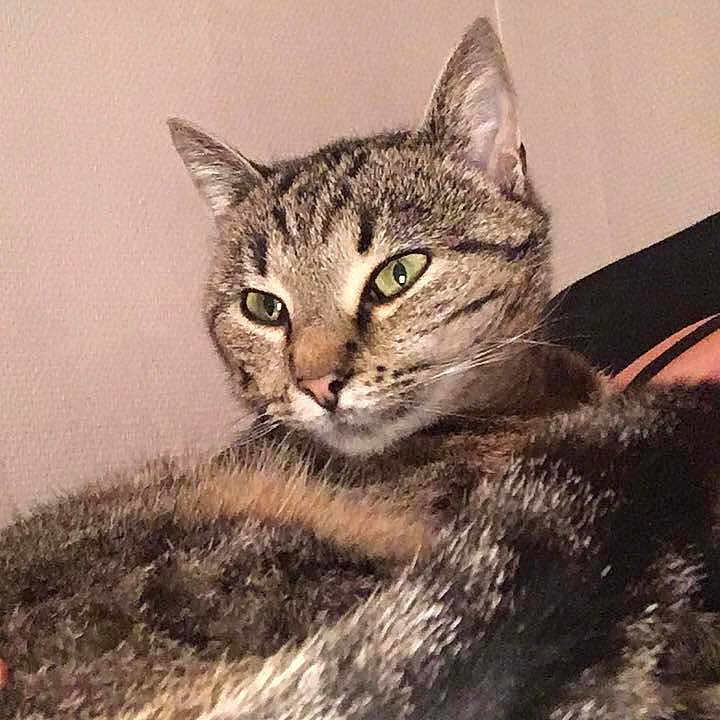 Bella