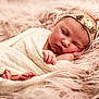 newborn, baby, sleeping, wrapped, blanket, headband, floral, pink, fur, soft, cozy, peaceful, resting, infant, cute, portrait, closeup, child, toddler, indoors