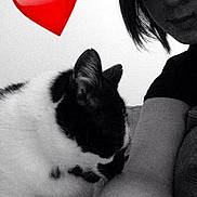 Babouche a rejoint le concours — aidez-le/la à gagner de superbes lots !