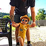 Nao participe au concours pour gagner de l'argent avec cette photo : adult, black_chair, casual_clothing, child, daylight, footwear, glasses, greenery, hat, outdoor, pacifier, person, smile, sunglasses, sunlight, support, tattoo, toddler, walking, yellow_onesie