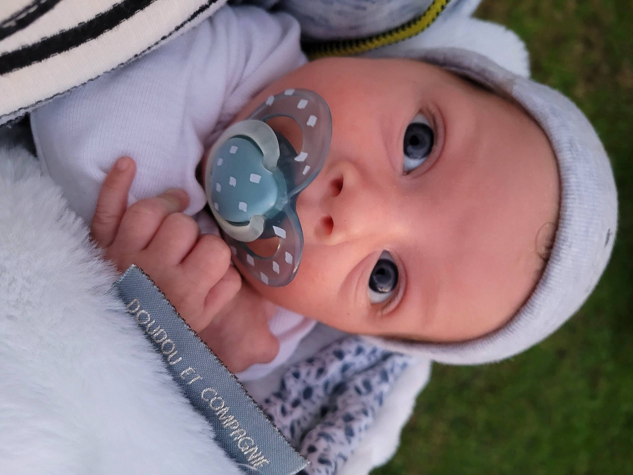 Koda participe au concours pour gagner de l'argent avec cette photo : baby, baby_products, baby_toddler_clothing, cap, child, eyelash, fashion_accessory, fun, grass, happy, hat, iris, lip, nose, person, plant, recreation, skin, sun_hat, toddler