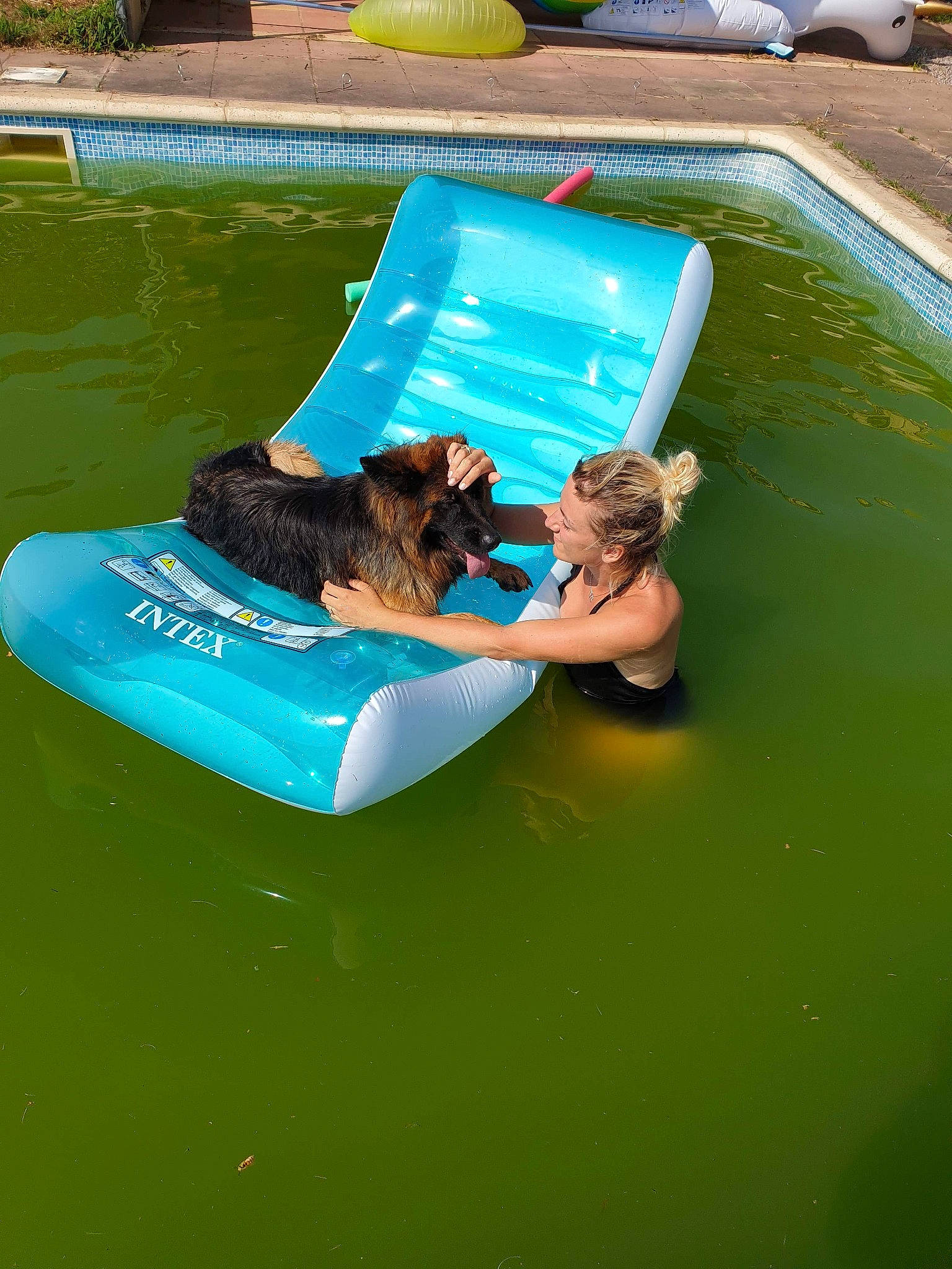 Olympe participe au concours pour gagner de l'argent avec cette photo : aqua, canidae, fun, games, green, inflatable, leisure, recreation, summer, swimming, swimming_pool, vacation, water