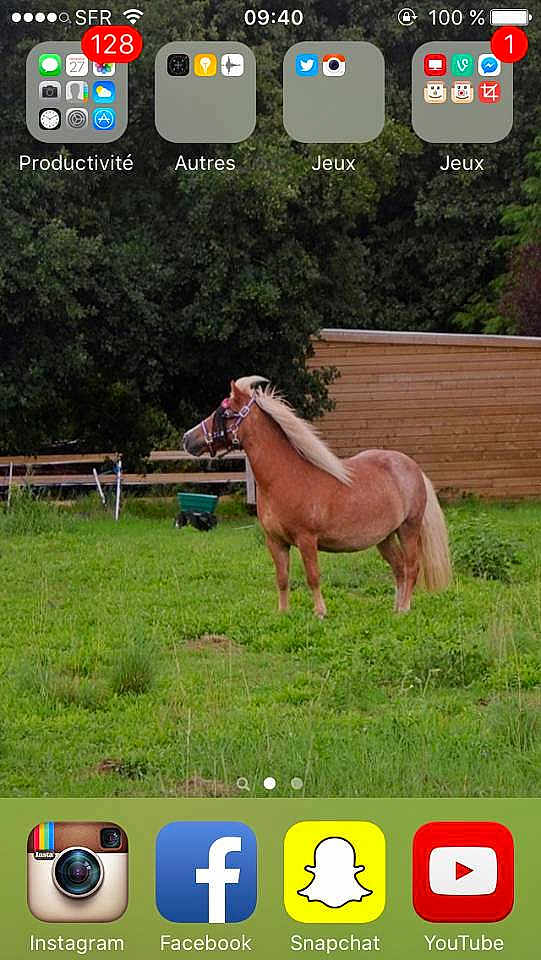 Licorne participe au concours pour gagner de l'argent avec cette photo :