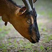 Jessïe participe au concours pour gagner de l'argent avec cette photo :