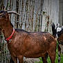 Jessïe participe au concours pour gagner de l'argent avec cette photo :