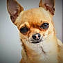 Shana participe au concours pour gagner de l'argent avec cette photo :